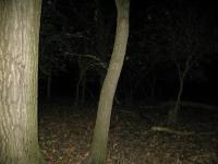 Chicago Ghost Hunters Group investigates Robinson Woods (109).JPG